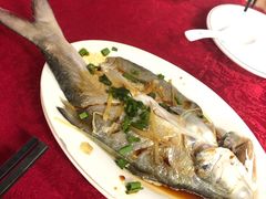 -蛇口康乐快餐鱼仔档(翠苑小区店)