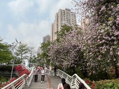 -二沙岛艺术公园