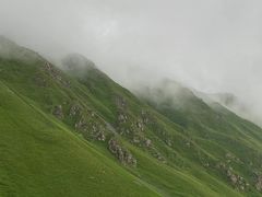 -大邑李记肥肠血旺