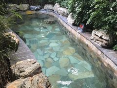 -韶关经律论国际酒店温泉