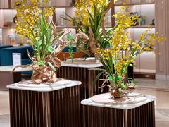 -香港皇家太平洋酒店