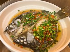 -高嗲嗲·现炒下饭菜(石鼓路店)