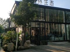 -桉树林A coffee 森林餐厅(三圣乡店)