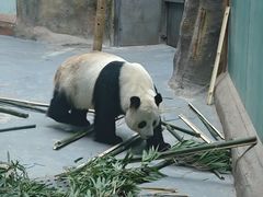 -青藏高原野生动物园
