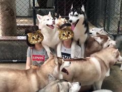 -TrueLove @ Neverland (Husky Cafe)
