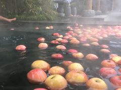 -深业半汤御泉庄温泉