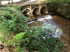 -田心森林公园