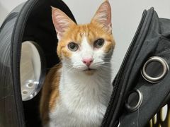 -荔康动物医院(康王北路店)