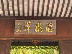 -汇龙潭