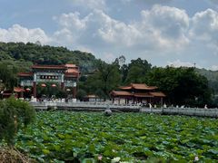 -南国桃园旅游度假区