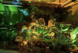 -恐龙探索乐园(磁器口店)