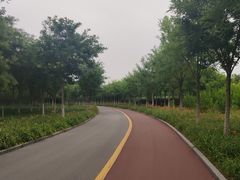 -天津东丽湖风景区