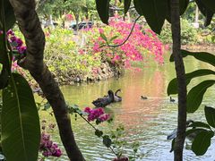 -海南热带野生动植物园