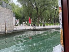 -皇家御河游(紫御湾码头)
