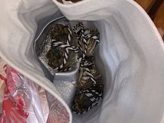 -七的湖·江南蟹舫·阳澄湖农家菜(蟹舫苑店)