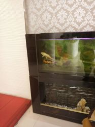 -天津健丽·去眼袋医疗美容机构