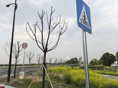 -丝绸小镇荻港古村