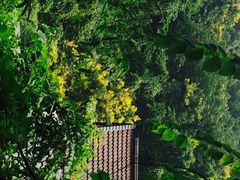 龙井菜馆-龙井壹号·茶缘山景宴(龙井村店)