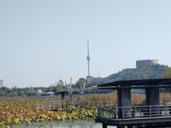 -月湖风景区