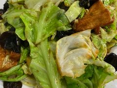 洋白菜木耳爆豆腐-清真鸿起来饭庄(复兴路店)