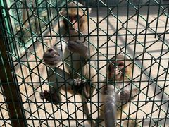 -宿豫区运河湾森林动物园