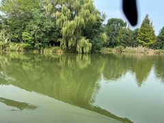 -苏州太湖国家湿地公园