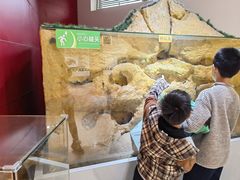 -上海昆虫博物馆