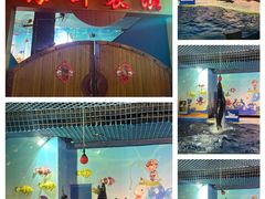 -太平洋海底世界