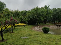 -北京香颂1期-下沉广场
