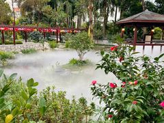 -深圳国际园林花卉博览园