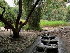 -成都市活水公园