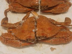 -大东海海鲜酒楼(渔人码头总店)