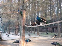 -南京金牛湖风景区