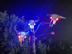 -呀路古热带植物园