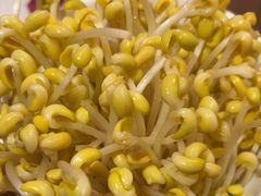 -九码头重庆毛肚火锅(棠岗店)