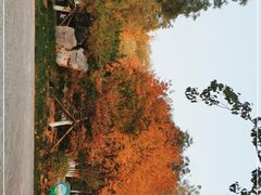 -康庄公园