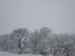 -雾凇岛