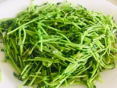 炒豆苗-鑫悦楼煎蟹·16年海鲜大排档