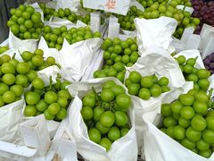 -金宝生活市场(东五环店)