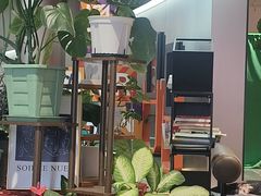 -Sips&Lick茶兰咖啡(五道口店)