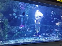 -郑州海洋馆