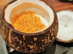 椰子冻-避风塘(光启城店)