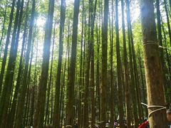 -山王坪喀斯特国家生态公园