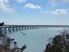 -星海湾跨海大桥