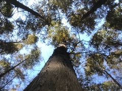 -南京金牛湖风景区