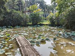 -中国科学院西双版纳热带植物园
