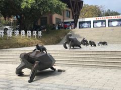 -广东惠东海龟国家级自然保护区