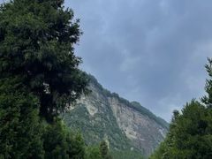 -重庆睡佛山森林公园