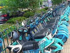 -小寒羊烧烤(凯瑞时代大厦店)