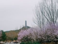 -北坞公园